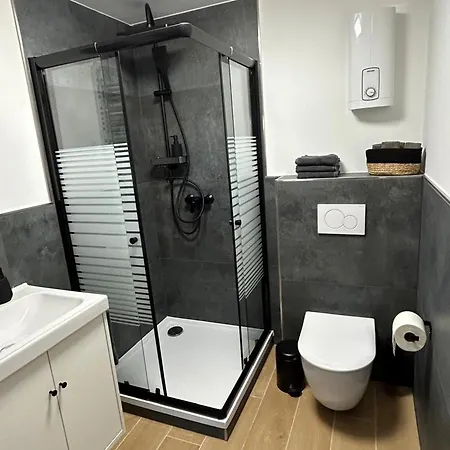 Appartement Rheinschatz 1 *